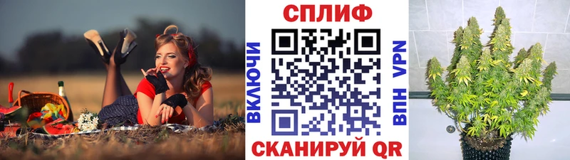 где можно купить наркотик  Нелидово  Каннабис VHQ 